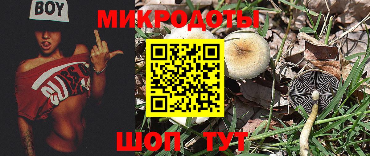Галлюциногенные грибы GOLDEN TEACHER Лобня